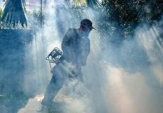 شخص يرش المبيدات الحشرية - توضيحية -