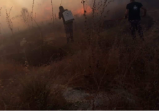 الدفاع المدني يخمد اليوم أكثر من 55 حريق أشجار وأعشاب في الضفة