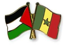 علم فلسطين والسنغال