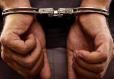 صورة توضحية 