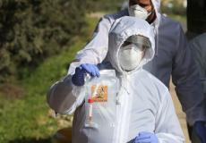 فيروس كورونا - أرشيفية -