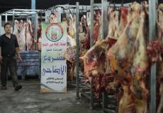 توزيع الاضاحي