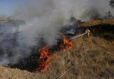 الاحتلال يكشف إجمالي خسائره بسبب طائرات غزة الورقية الحارقة