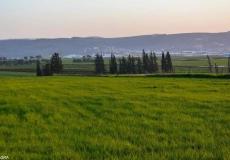 الطبيعة الخلابة في قرية دير غزالة قضاء جنين