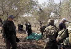 اعتداء الاحتلال على مزارعين - أرشيف