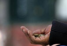 فتاة متسولة -توضيحية