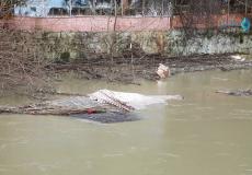 شاهد لحظة ابتلاع نهر لمنزل في ثوان