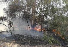 حريق في أحراش إسرائيلية بغلاف غزة بسبب بالون حارق- أرشيفية