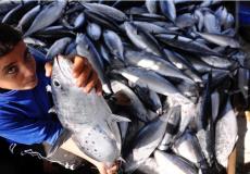 حسبة السمك في غزة - أرشيفية -