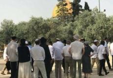 وسط حراسة مشددة.. قرابة 76 مستوطن يقتحمون الأقصى