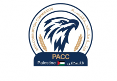 هيئة مكافحة الفساد 