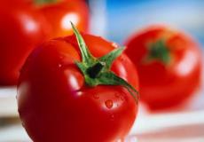 إطلاق حملة "خليها تعفن" رفضا لغلاء البندورة