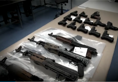 الاسلحة الهولندية - توضيحية -