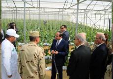 مصر تفتتح مشروعات زراعية 
