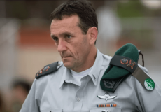 هرتسي هاليفي