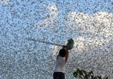 اخبار السودان اليوم - توضيحية