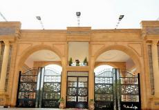 جامعة المنصورة - مصر 
