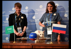 حيوانات متنوعة شاركت في "عرافة" المونديال!