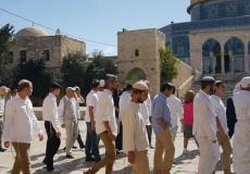مستوطنون يجددون اقتحامهم للمسجد الأقصى
