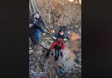 العثور على الطفل قيس أبو رميلة