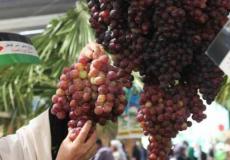 مهرجان العنب الشعبي في بيت لحم