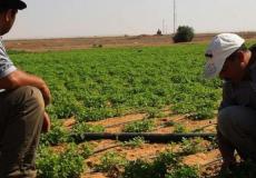 أوقاف غزة تعلن عن فرص للاستثمار في الاراضي الوقفية