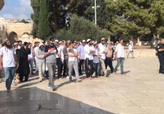 مستوطنون يقتحمون الأقصى - توضيحية