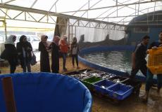 اختتام مخيم 'هواة الطبيعة 5' في غزة