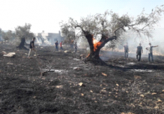 اخماد حريق كبير في جنين