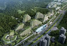 الصين تُشييد أكثر مدينة مشجرة في العالم