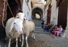 عيد الاضحى في سوريا ٢٠١٩