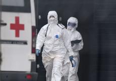 كورونا هولندا