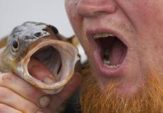 صورة توضيحية