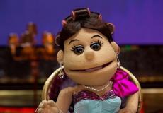 شادي أبو زيد مراسل أبلة فاهيتا