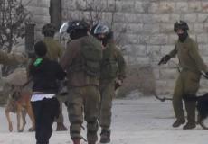 جنود الاحتلال يخوفون طفل بالكلاب