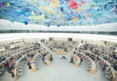 مجلس حقوق الإنسان في الأمم المتحدة