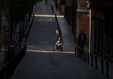 فيروس كورونا