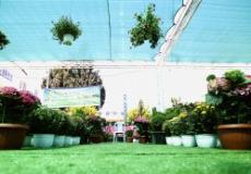 افتتاح معرض الورود والأشتال الثاني في رام الله