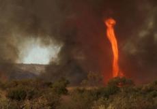 اندلاع نيران في أحراش وأشجار شرق غزة بفعل بالون حارق 