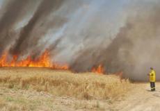 حريق في سديروت بفعل بالون حارق أطلق من غزة 