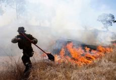 حرائق في مستوطنات غلاف غزة بفعل إطلاق البالونات الحارقة من القطاع