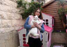 هبه الجنيدي صاحبة أول مأوى للقطط في الخليل