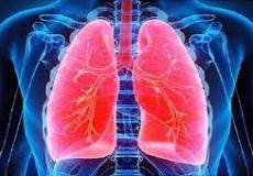 قائمة بأطعمة ومشروبات ضرورية لصحة الرئة