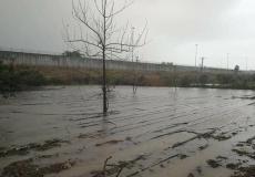 الأمطار في الضفة الغربية - أرشيفية -