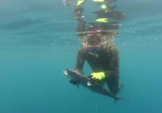 الصياد رامي مقداد