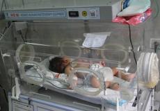  51.50 % من نسبة المواليد ذكور ، و 48.50%إناث