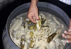 وزارة الاقتصاد في غزة تضبط مخللات فاسدة في خانيونس