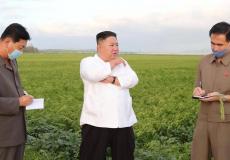 اقتلوهم -أوامر مخيفة في كوريا الشمالية لمنع انتشار كورونا
