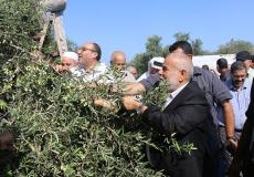 افتتاح موسم العودة