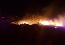 حريق في كرم زيتون بالمكر